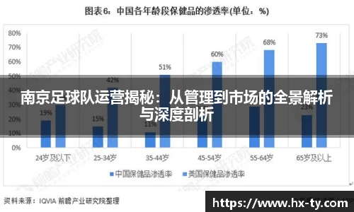 南京足球队运营揭秘：从管理到市场的全景解析与深度剖析