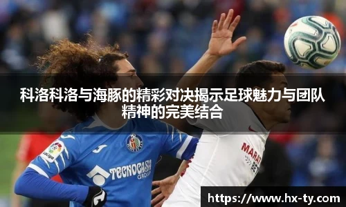 科洛科洛与海豚的精彩对决揭示足球魅力与团队精神的完美结合